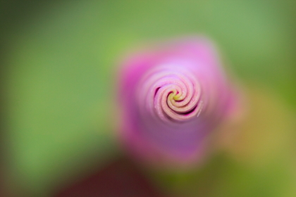 Swirl