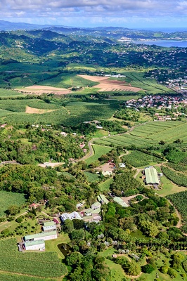 Martinique 2025